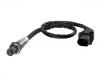 Oxygen Sensor:1618.AS