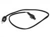 氧传感器 Oxygen Sensor:L3E1-18-861