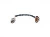 氧传感器 Oxygen Sensor:55563958