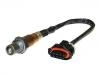 Sonda lambda Oxygen Sensor:55566592