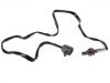 Oxygen Sensor:LF17-18-861B