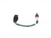 Oxygen Sensor:5246949