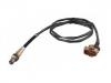 Oxygen Sensor:0 258 006 069