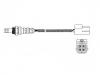 氧传感器 Oxygen Sensor:226A0-1F701